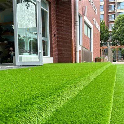 ʻO Kindergarten Leisuretitial Turf